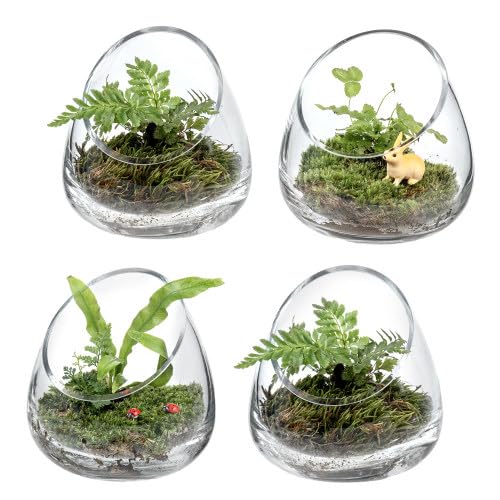 MyGift clear glass front view showing compact plant display and clean look