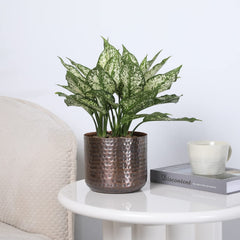MyGift hammered texture close-up highlighting artisanal surface and shine