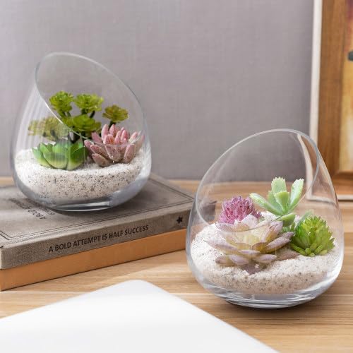 MyGift terrarium on windowsill showing natural light boosting plant display