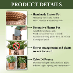 MyGift planter holding a succulent demonstrating display and plant contrast
