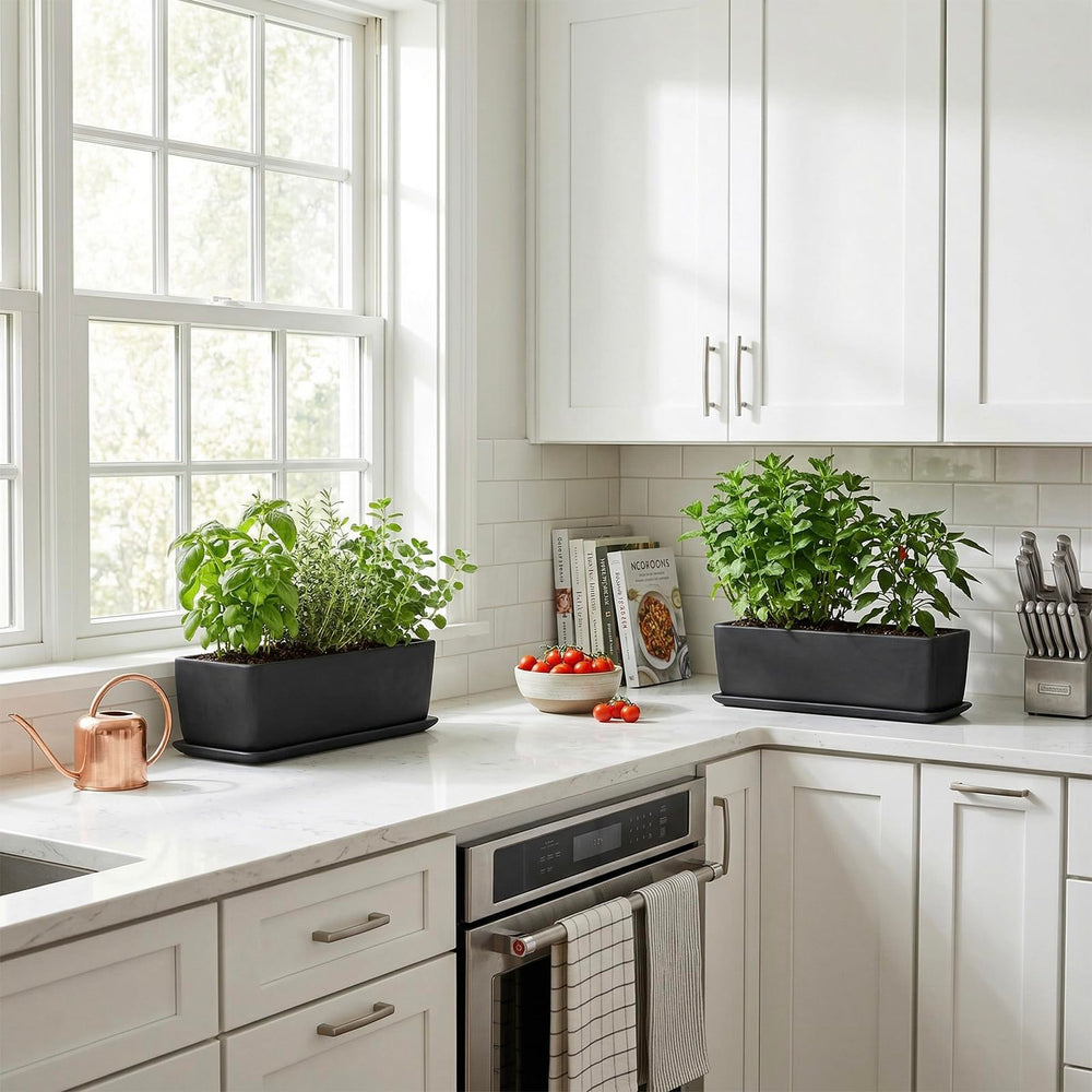 MyGift planter staged on a windowsill with succulents, improving indoor greenery display