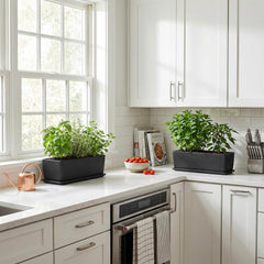 MyGift planter staged on a windowsill with succulents, improving indoor greenery display