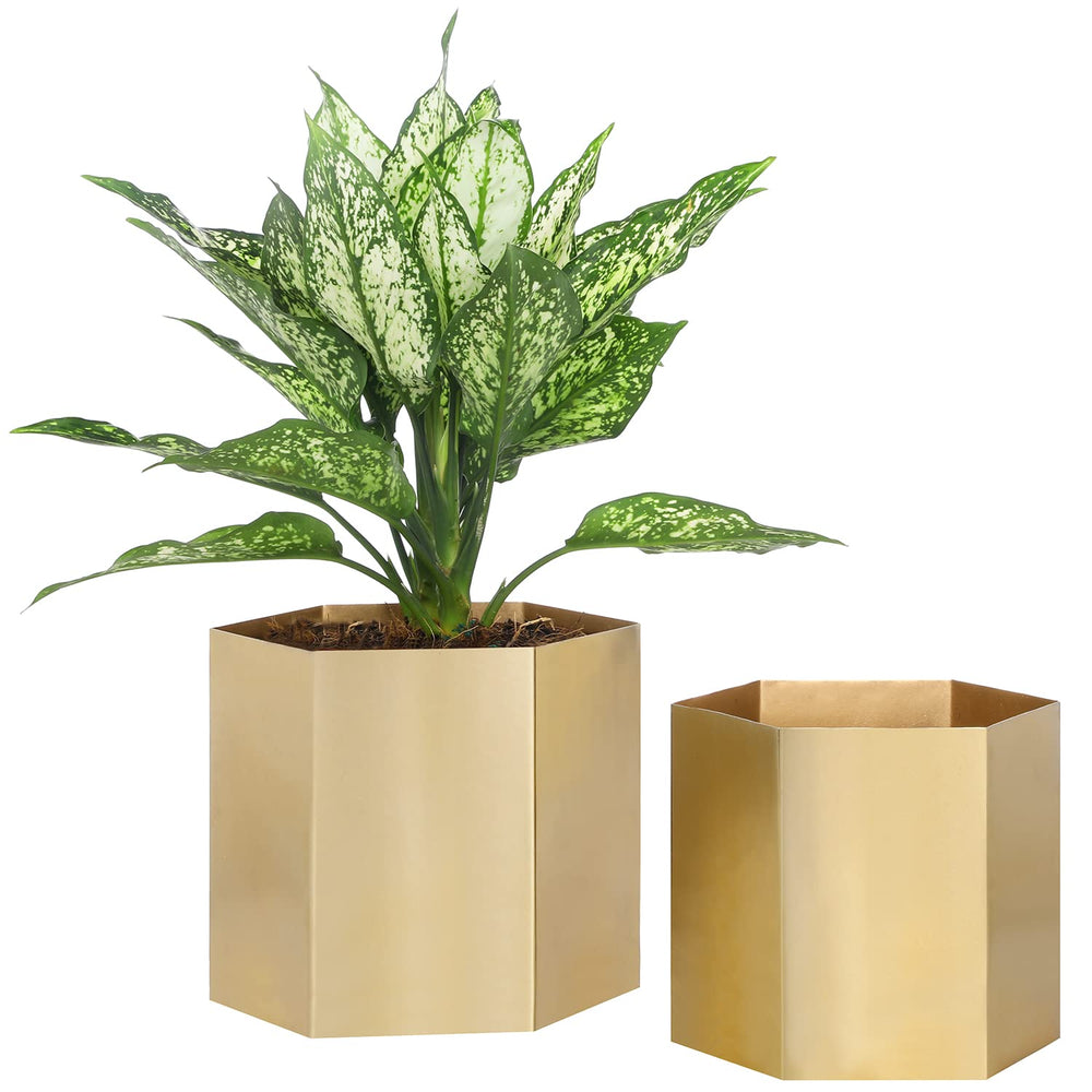 MyGift brass hexagon planter front view showing modern decorative appeal