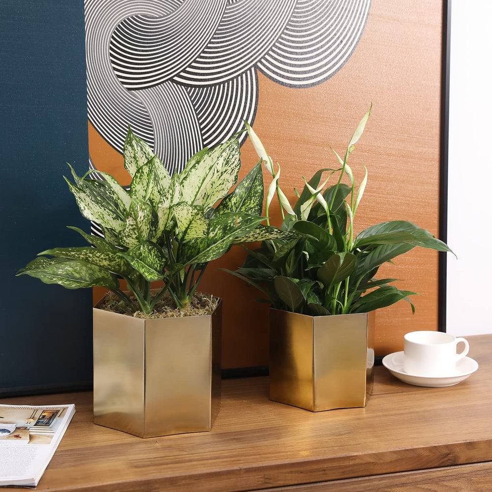 MyGift planters styled on a table adding contemporary decorative contrast