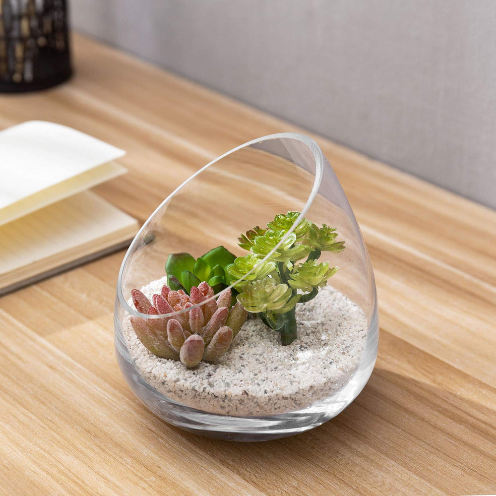 MyGift mini vase holding an air plant demonstrating easy, low-care styling