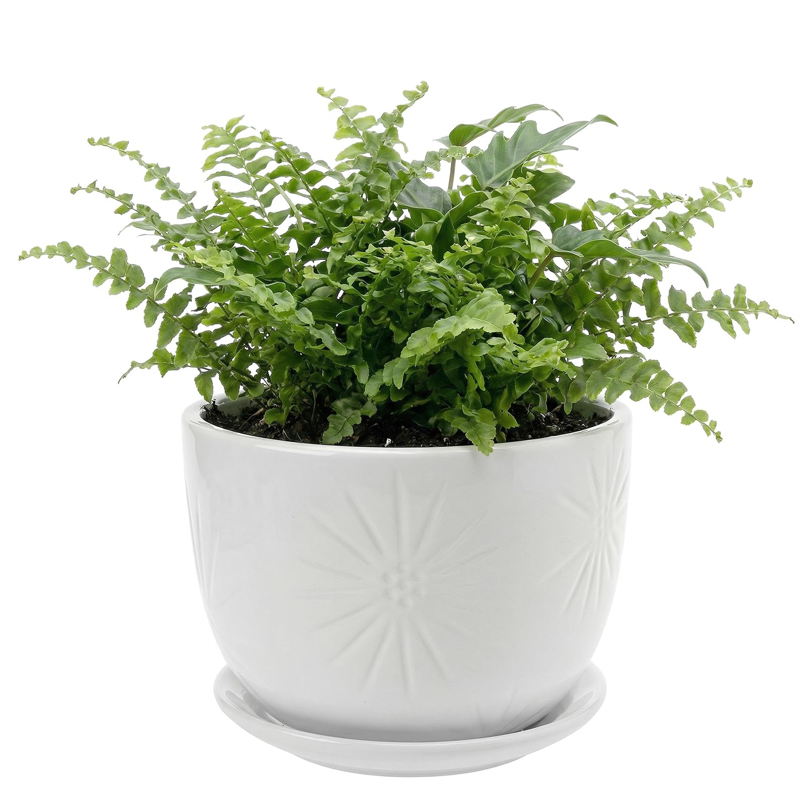 MyGift front view of white ceramic planter showing shape and modern look benefits