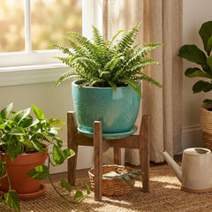 MyGift attached saucer detail protecting surfaces and catching runoff