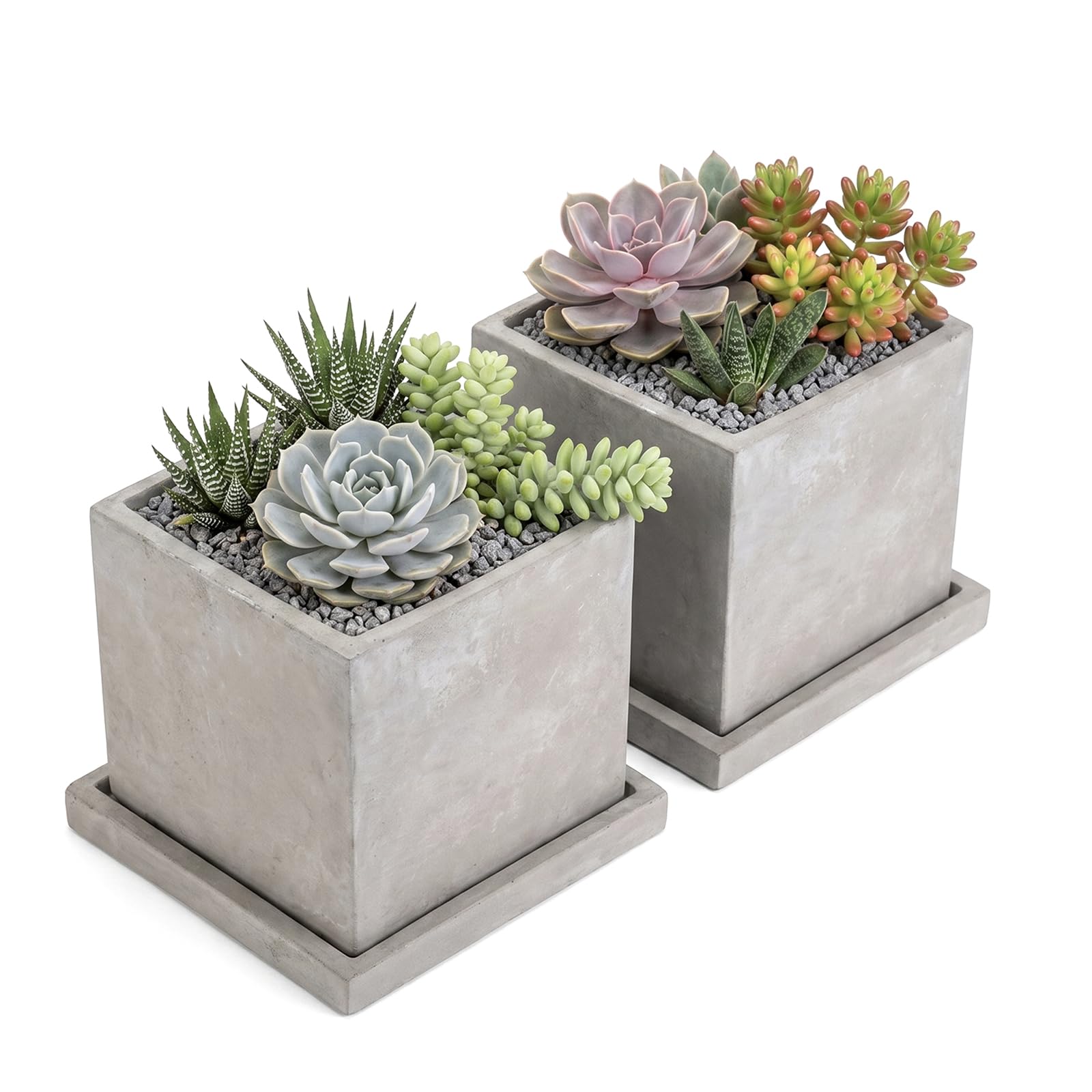 MyGift planters on a bright windowsill illustrating decorative use and space-saving benefit
