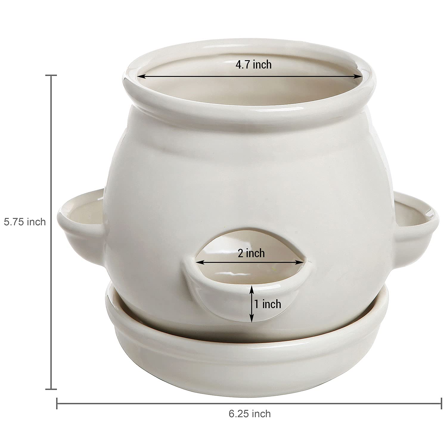 MyGift held in hand to show true size and convenient compact scale for small spaces