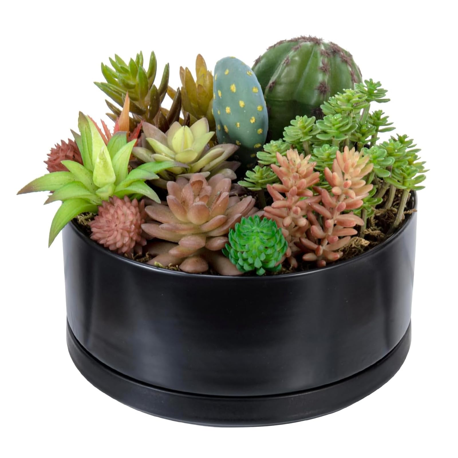 MyGift planter beside ruler showing exact 8-inch diameter scale