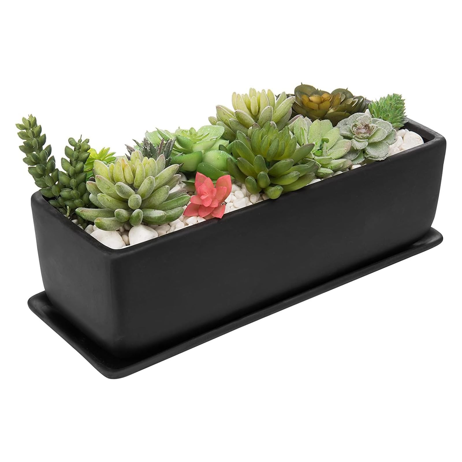 MyGift side profile showing planter length and low-profile silhouette