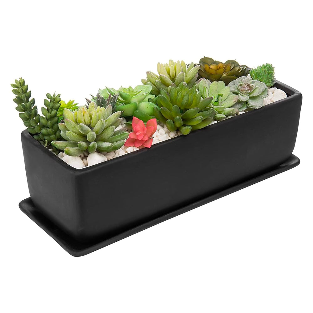 MyGift side profile showing planter length and low-profile silhouette