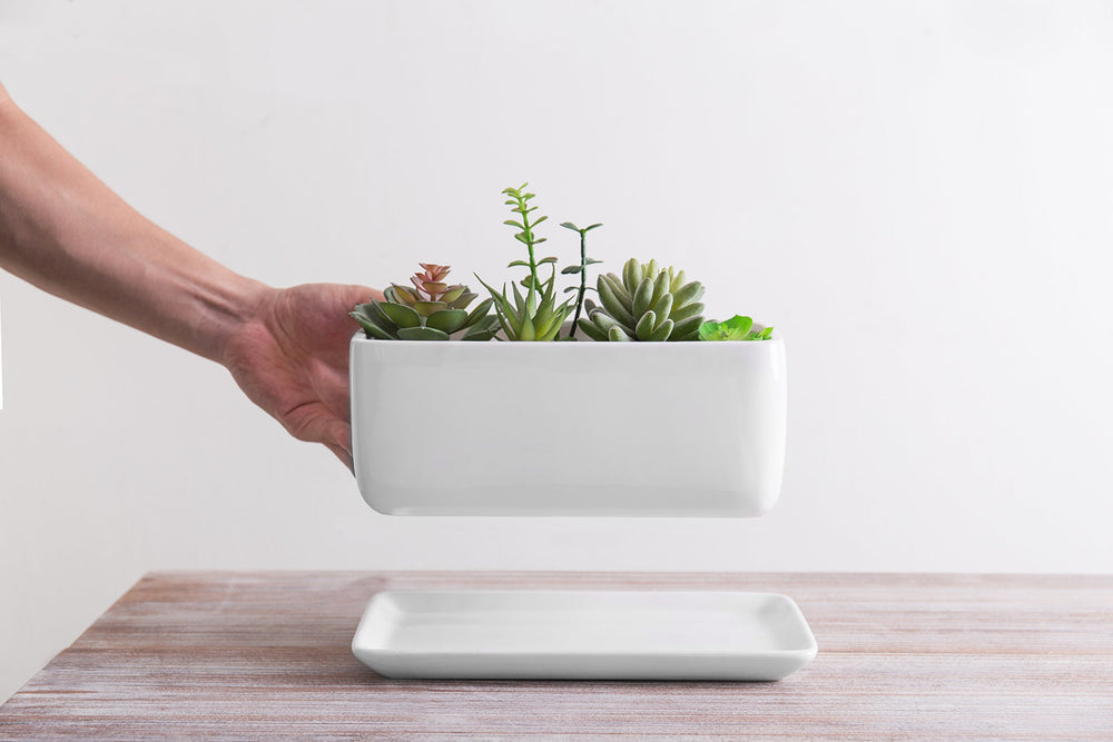 MyGift planter beside a ruler to illustrate dimensions and fit for small spaces