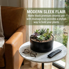 MyGift planter top-down with succulent arrangement highlighting usable planting area