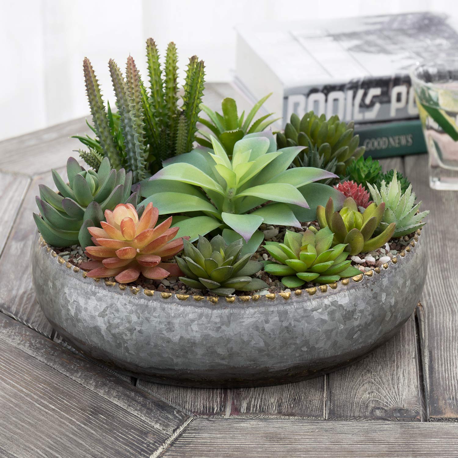 MyGift planter top view staged with succulents demonstrating shallow planting benefit
