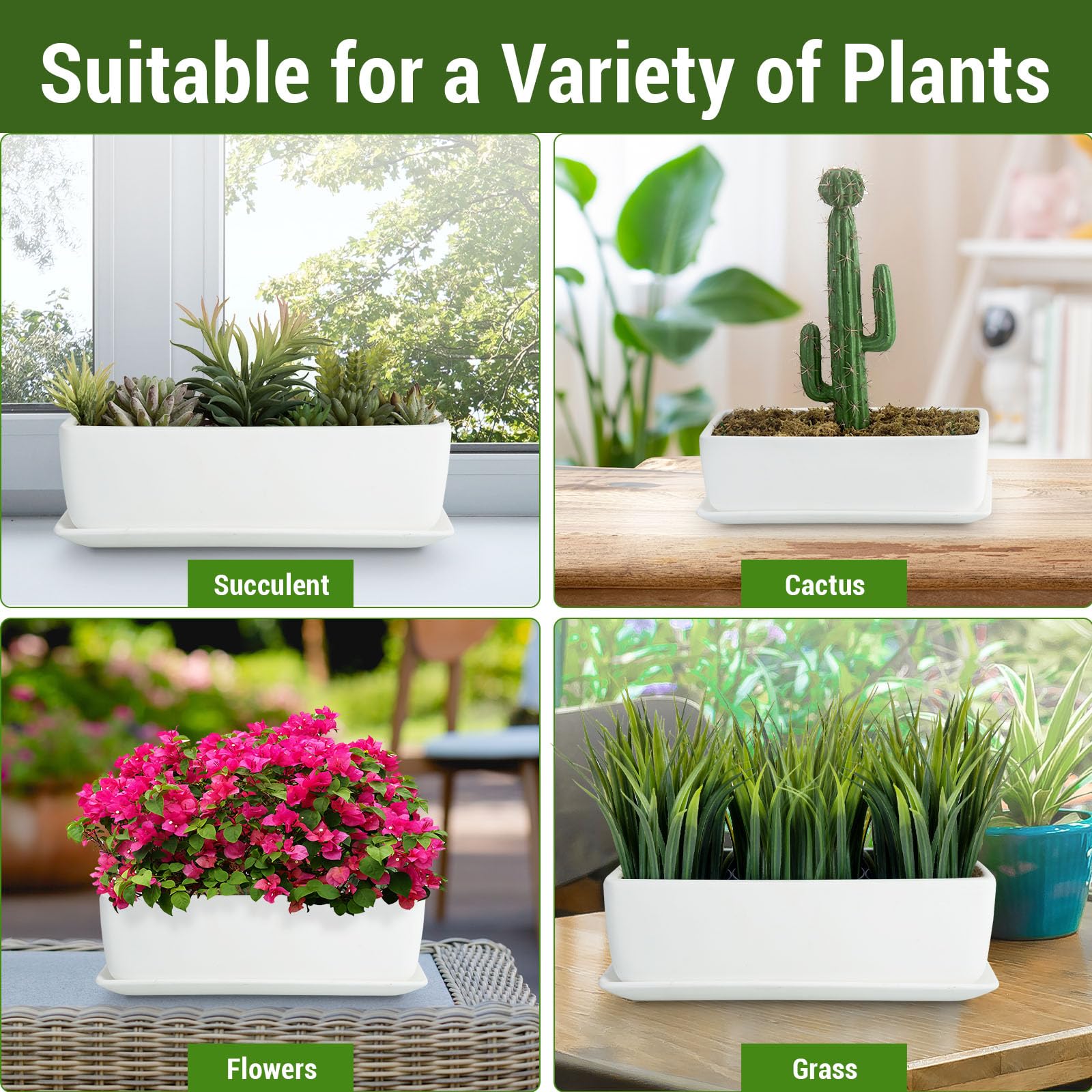 MyGift top view with succulents illustrating planting capacity and styling benefit
