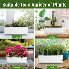 MyGift top view with succulents illustrating planting capacity and styling benefit