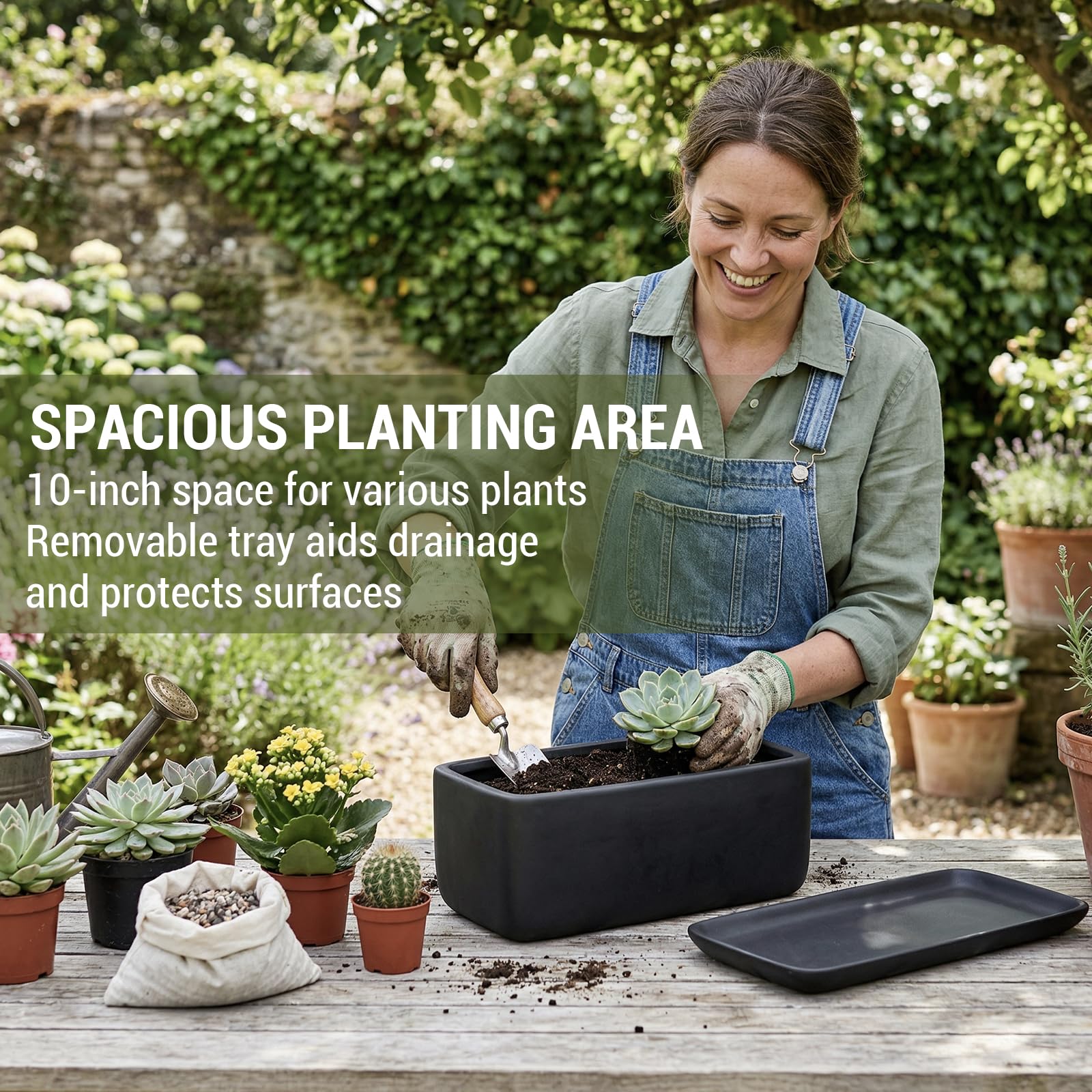 MyGift planter filled with succulents showing how it creates a compact decorative arrangement