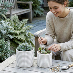 MyGift planters with succulents on windowsill showing bright decor boost
