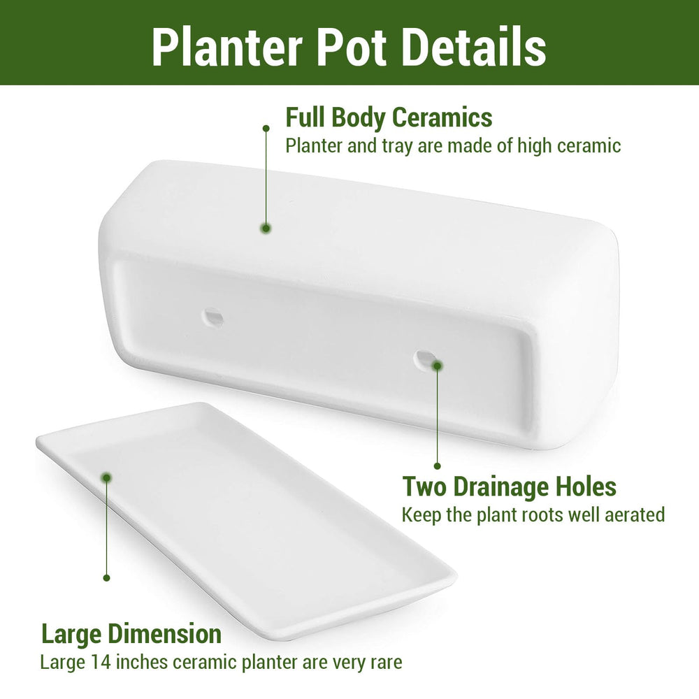 MyGift planter next to ruler showing dimensions and space-fit benefit