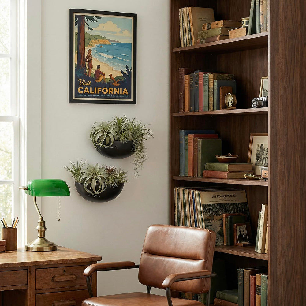 MyGift wall planter in use with succulents showing space-saving vertical greenery