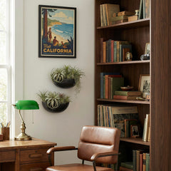 MyGift wall planter in use with succulents showing space-saving vertical greenery