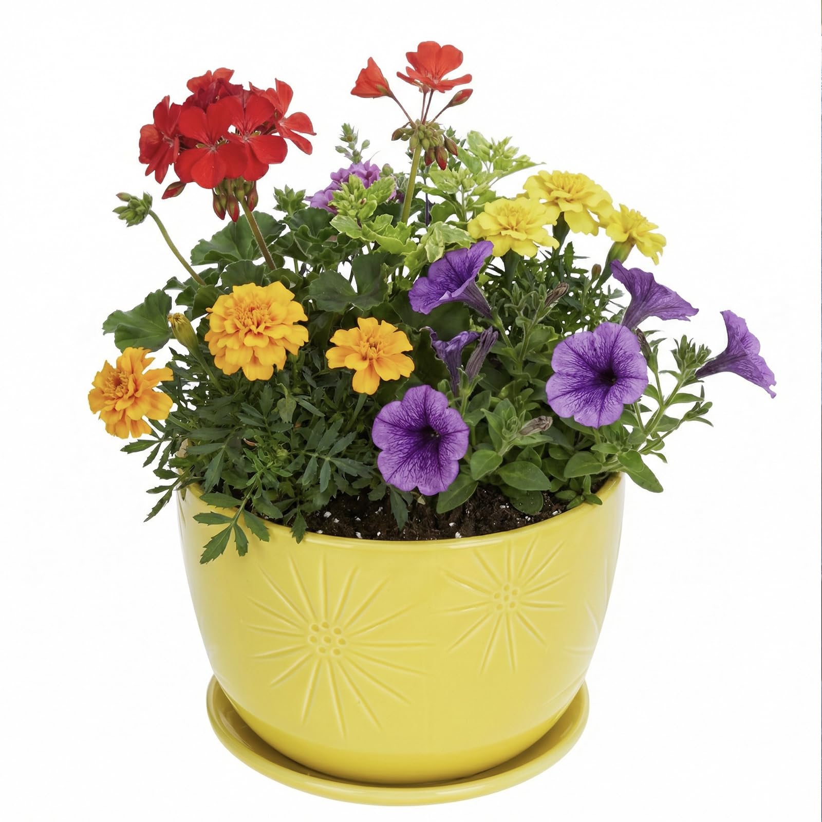 MyGift front view of yellow ceramic planter showing shape and saucer - bright decor