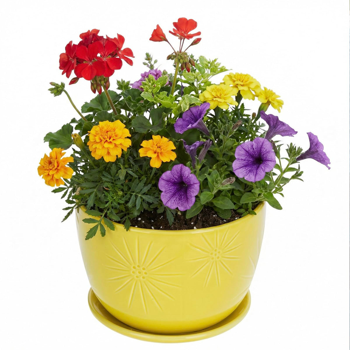 MyGift front view of yellow ceramic planter showing shape and saucer - bright decor