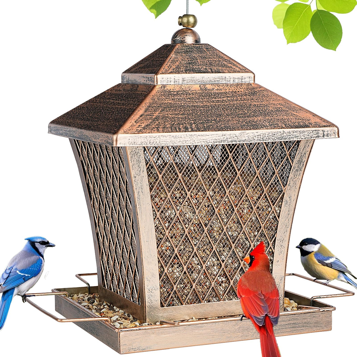 MYITYARD bronze feeder front view showing elegant finish and curb appeal