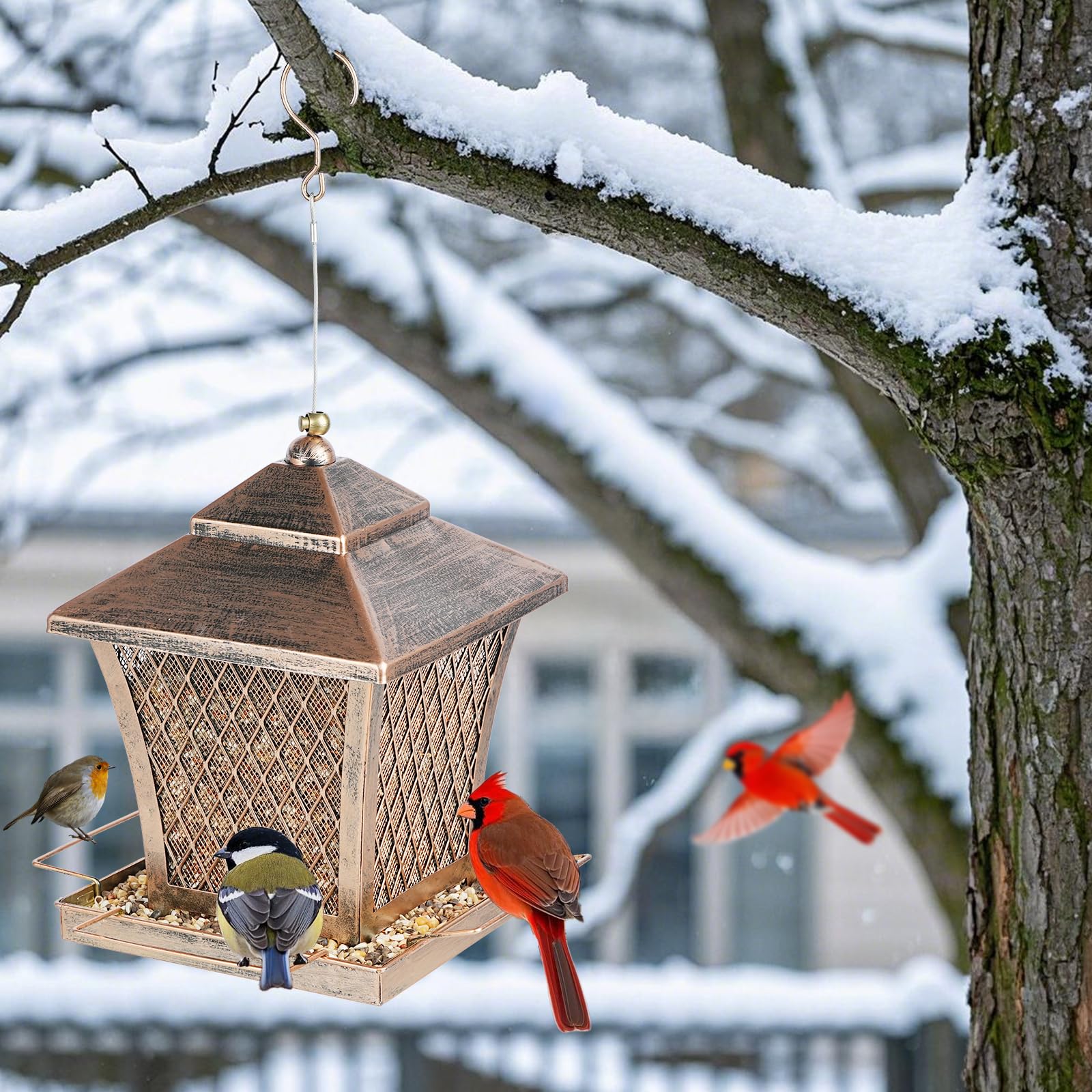 MYITYARD packaged as gift showcasing elegant presentation for bird lovers