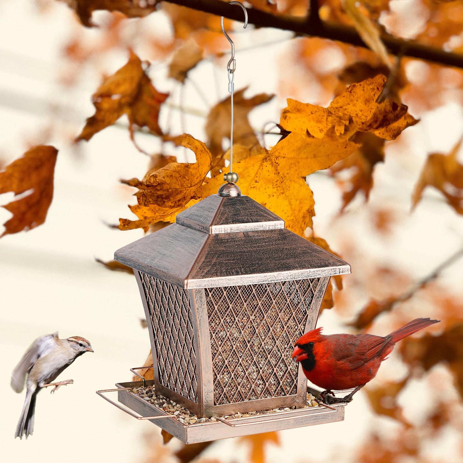 MYITYARD hands refilling feeder showing quick convenient refill process