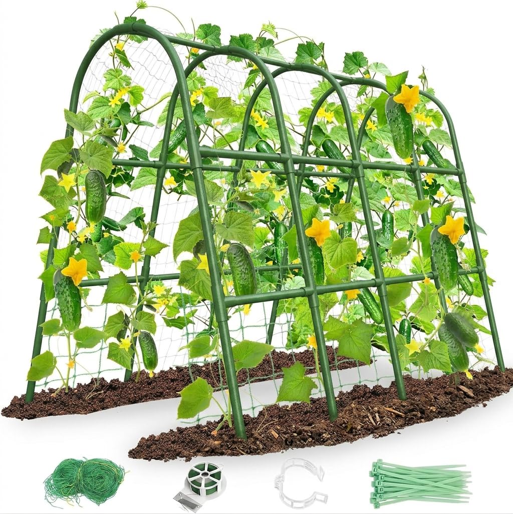 MYMULIKE arched trellis front view showing sturdy U-shape and space saving benefit
