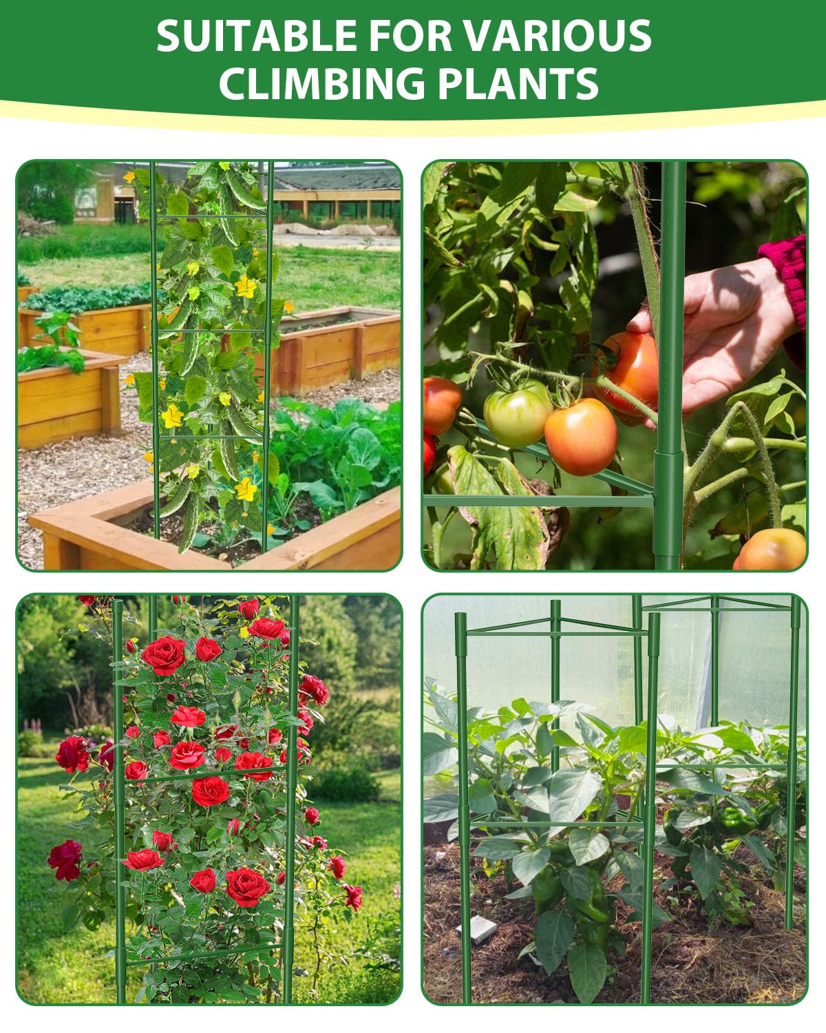MYMULIKE twenty binding wires and ties laid out showing gentle plant support and training