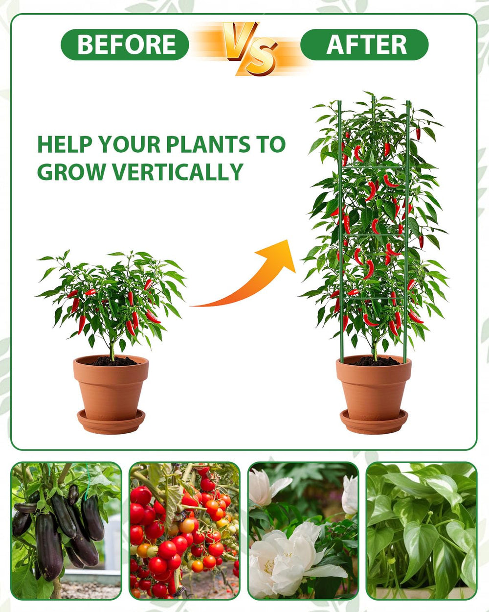 MYMULIKE cages placed in balcony container garden showing space-saving vertical growth