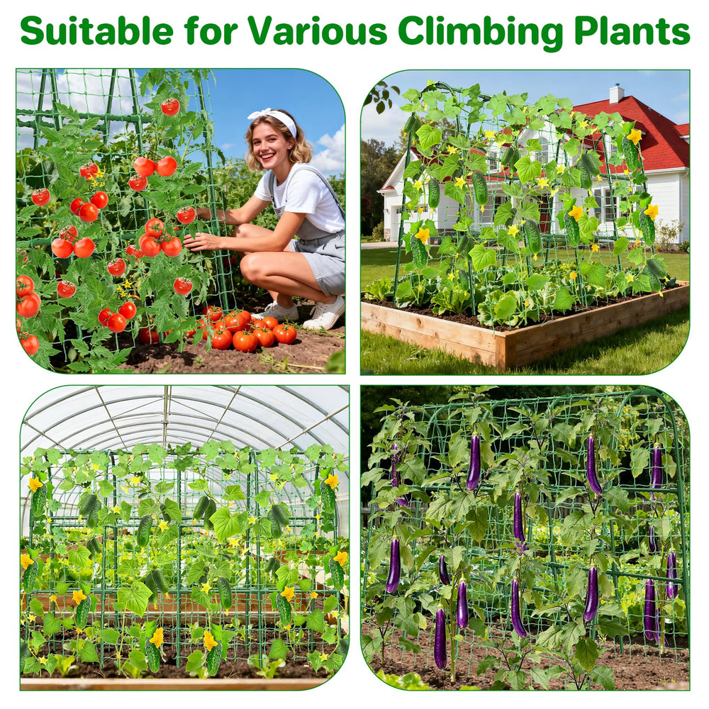 MYMULIKE garden clips and leaf ties laid out showing included accessories for training