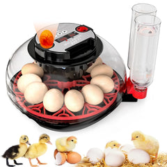 MYMULIKE front view of incubator showcasing compact design and visibility benefit