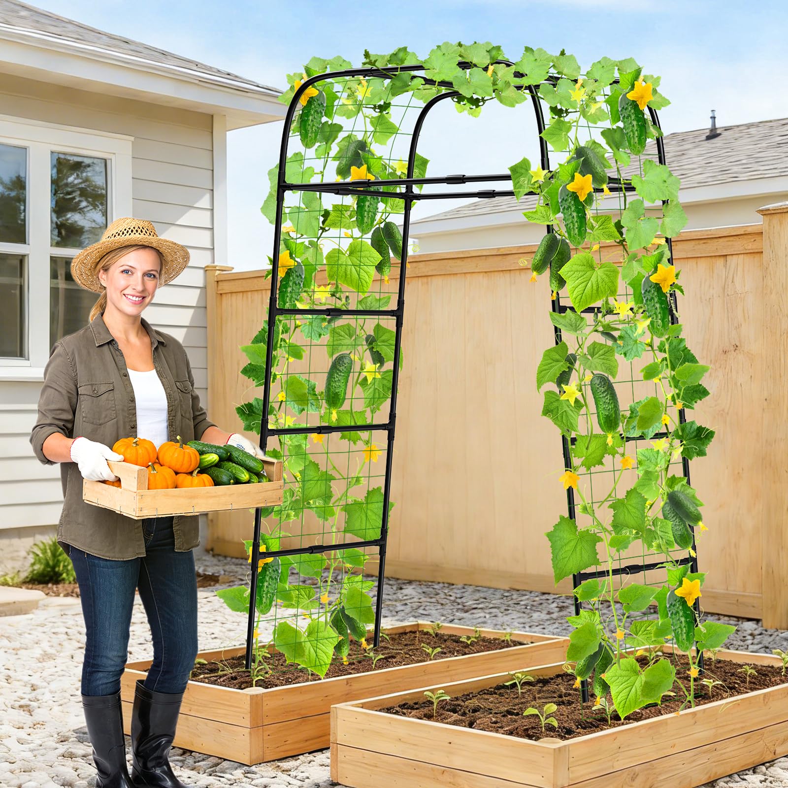 MYMULIKE arch staked into raised bed securing tall vines off soil