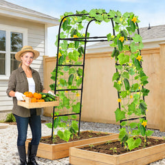 MYMULIKE arch staked into raised bed securing tall vines off soil