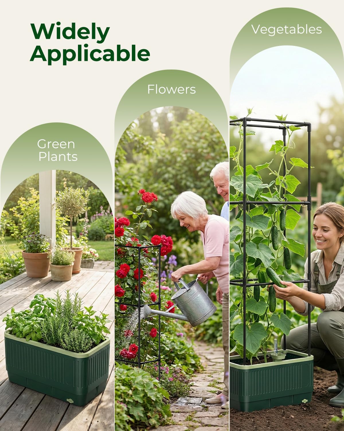 MYMULIKE trellis assembled to full height demonstrating vertical support for vines