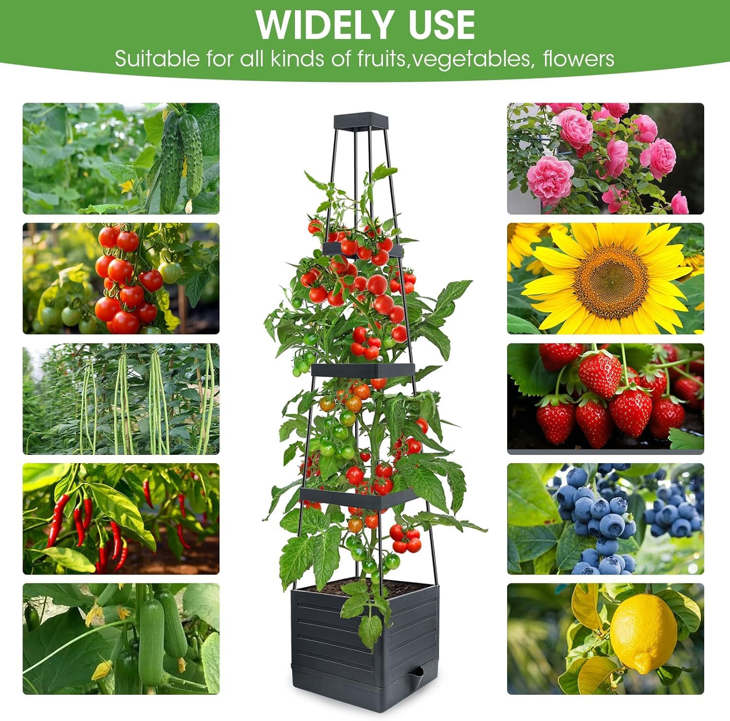 MYMULIKE trellis connection detail that strengthens vine support