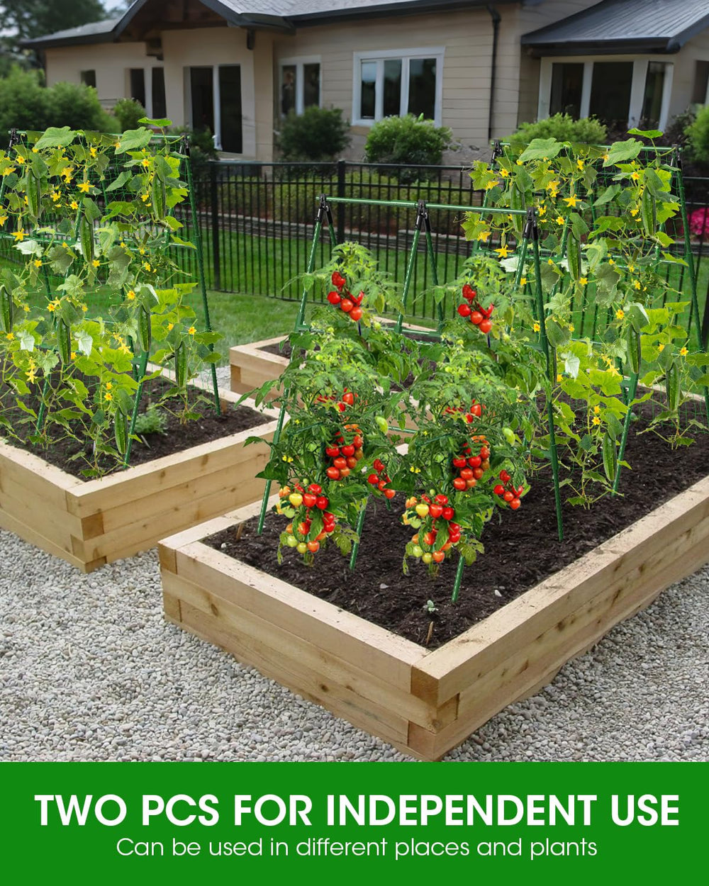 MYMULIKE trellis next to a ruler showing 33x47 inch panel size clarity