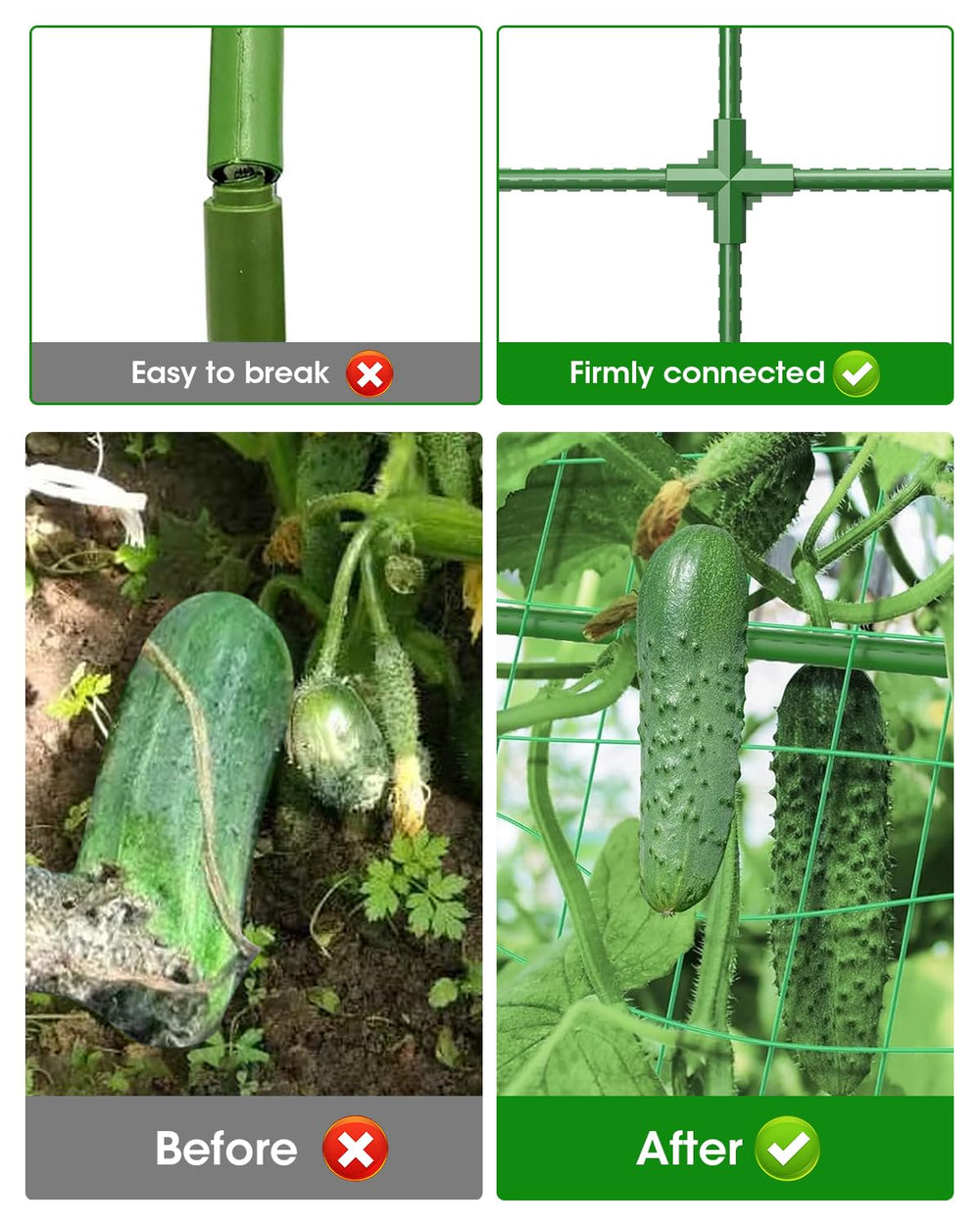 MYMULIKE trellis with cucumbers climbing, easing harvesting and plant health