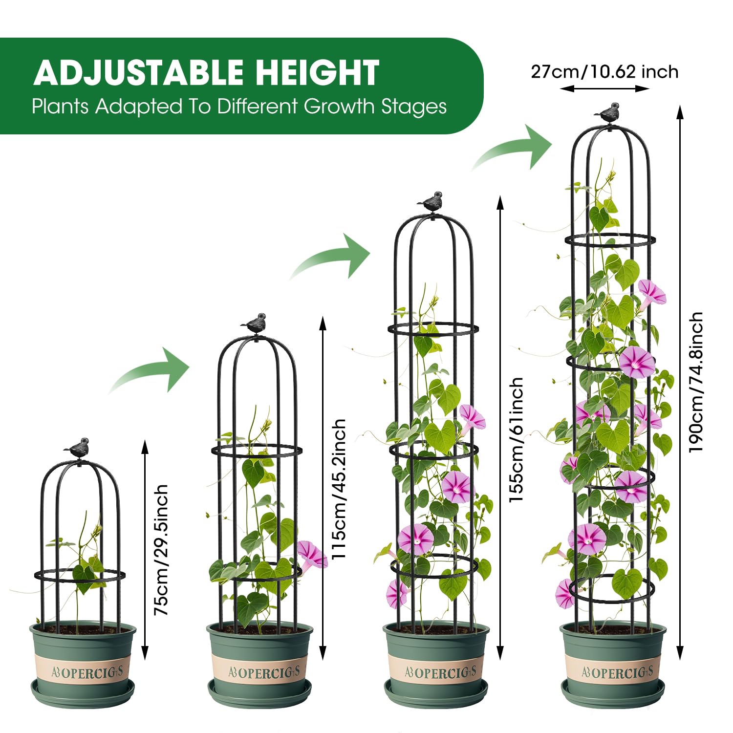 MYMULIKE trellis with climbing roses displaying organized upward growth