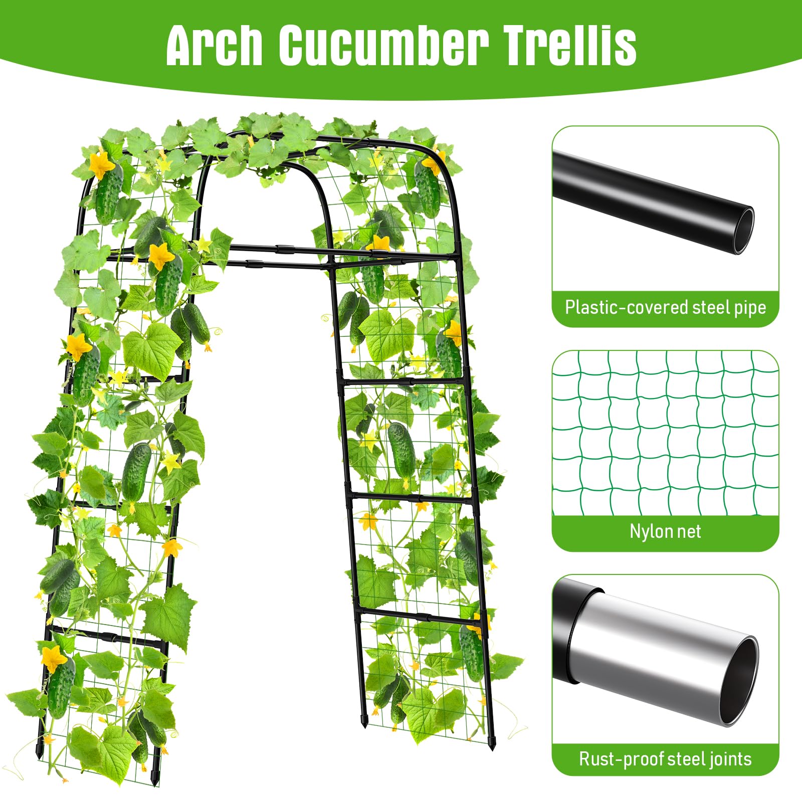 MYMULIKE climbing cucumbers trained on arch improving airflow and harvests