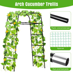 MYMULIKE climbing cucumbers trained on arch improving airflow and harvests