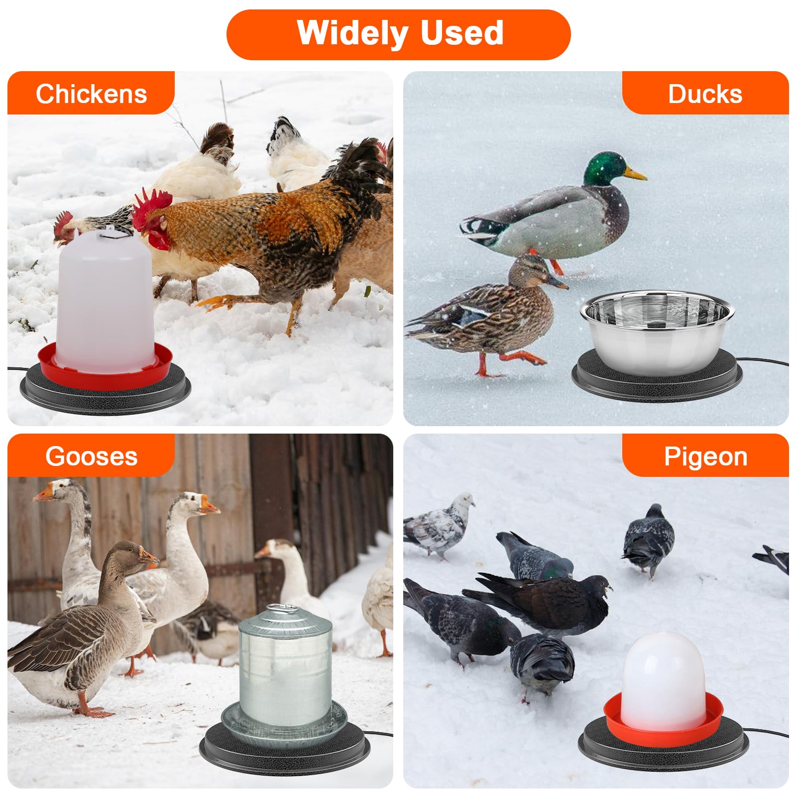 Myodal size comparison with one-gallon waterer showing fit and weight-bearing capacity
