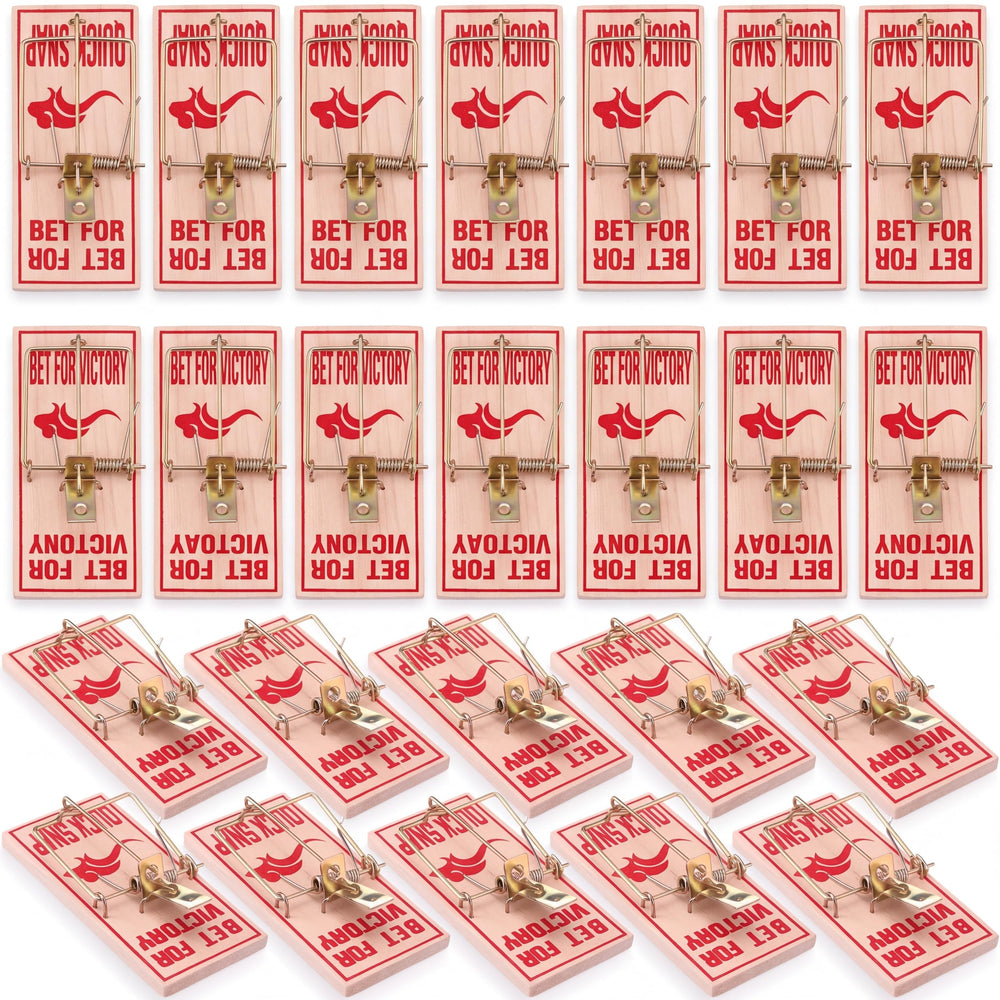 Mysora front packaging showing 100-pack bulk traps and ready-to-use convenience