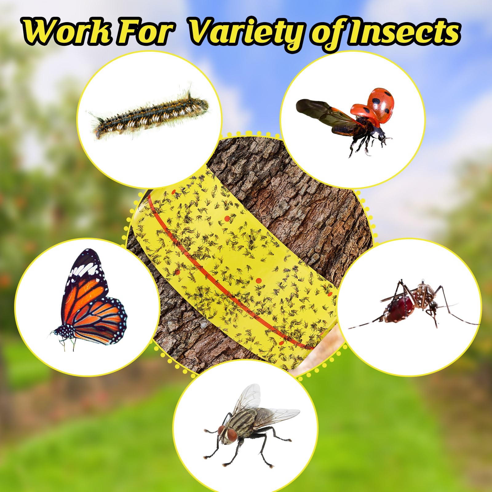 Mysora product label and specifications clear view for informed purchase