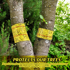 Mysora roll wrapped on a tree trunk demonstrating insect barrier protection