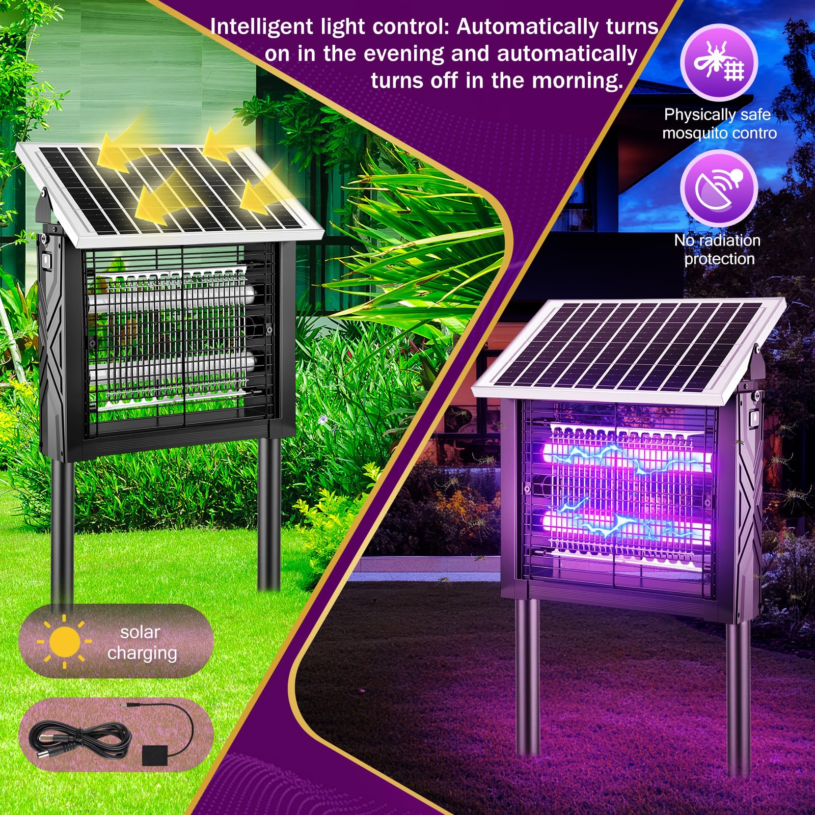 Mysora installed tabletop and hanging demonstrating flexible placement options
